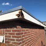 reparatie-dak-1