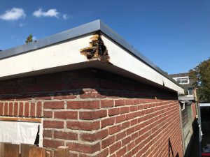 reparatie-dak-1